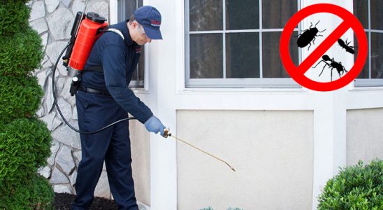Çine Kene İlaçlama böcek ilaçlama ve haşere kontrolü — ilaclama-tr.com